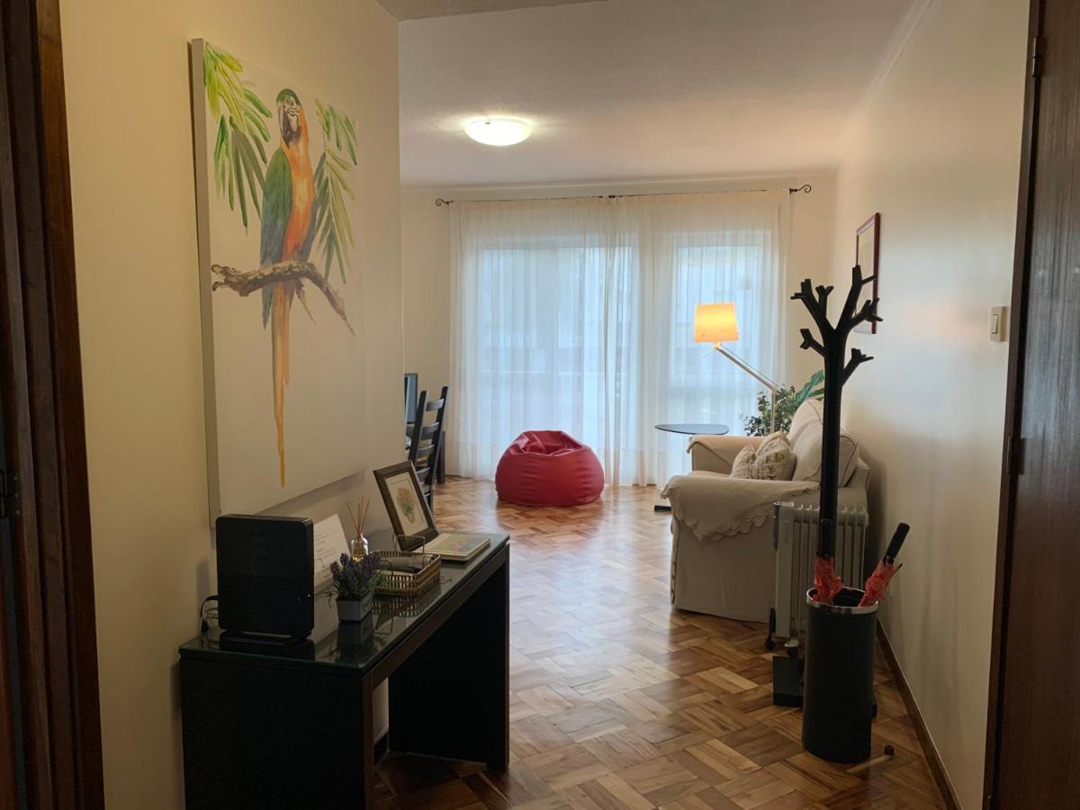 Garden Apartment, Great For Couple - Ponta Delgada 외부 사진