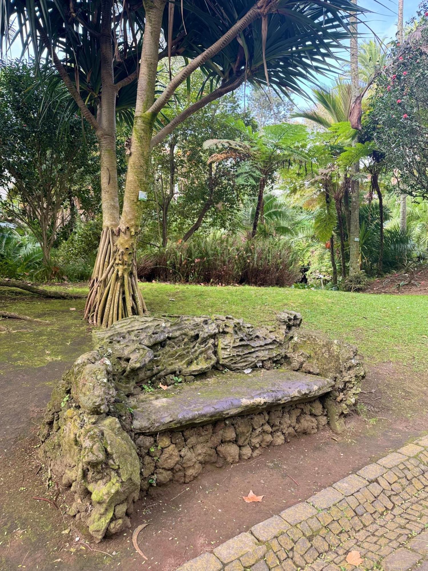 Garden Apartment, Great For Couple - Ponta Delgada 외부 사진
